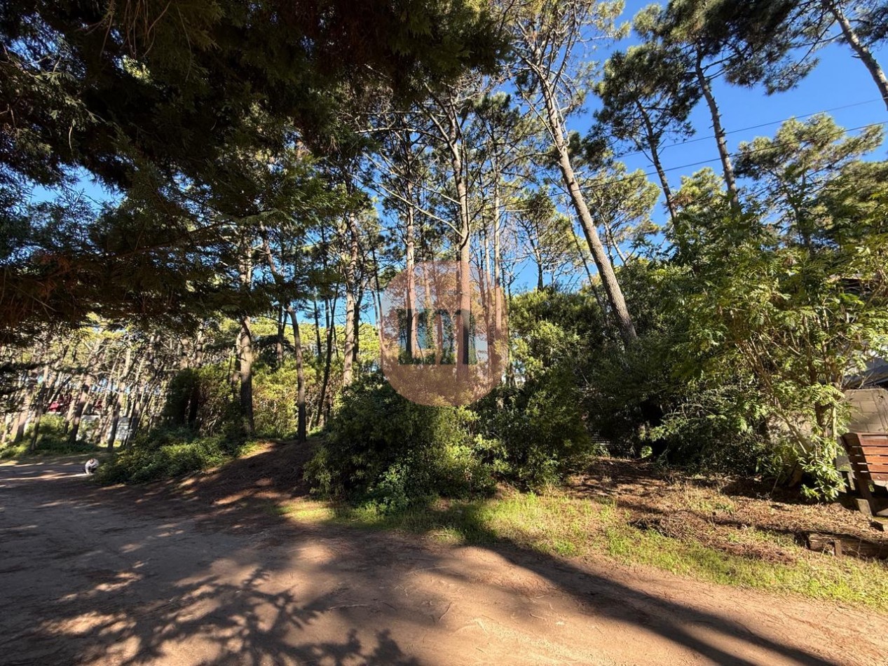 Lote comercial Mar Azul