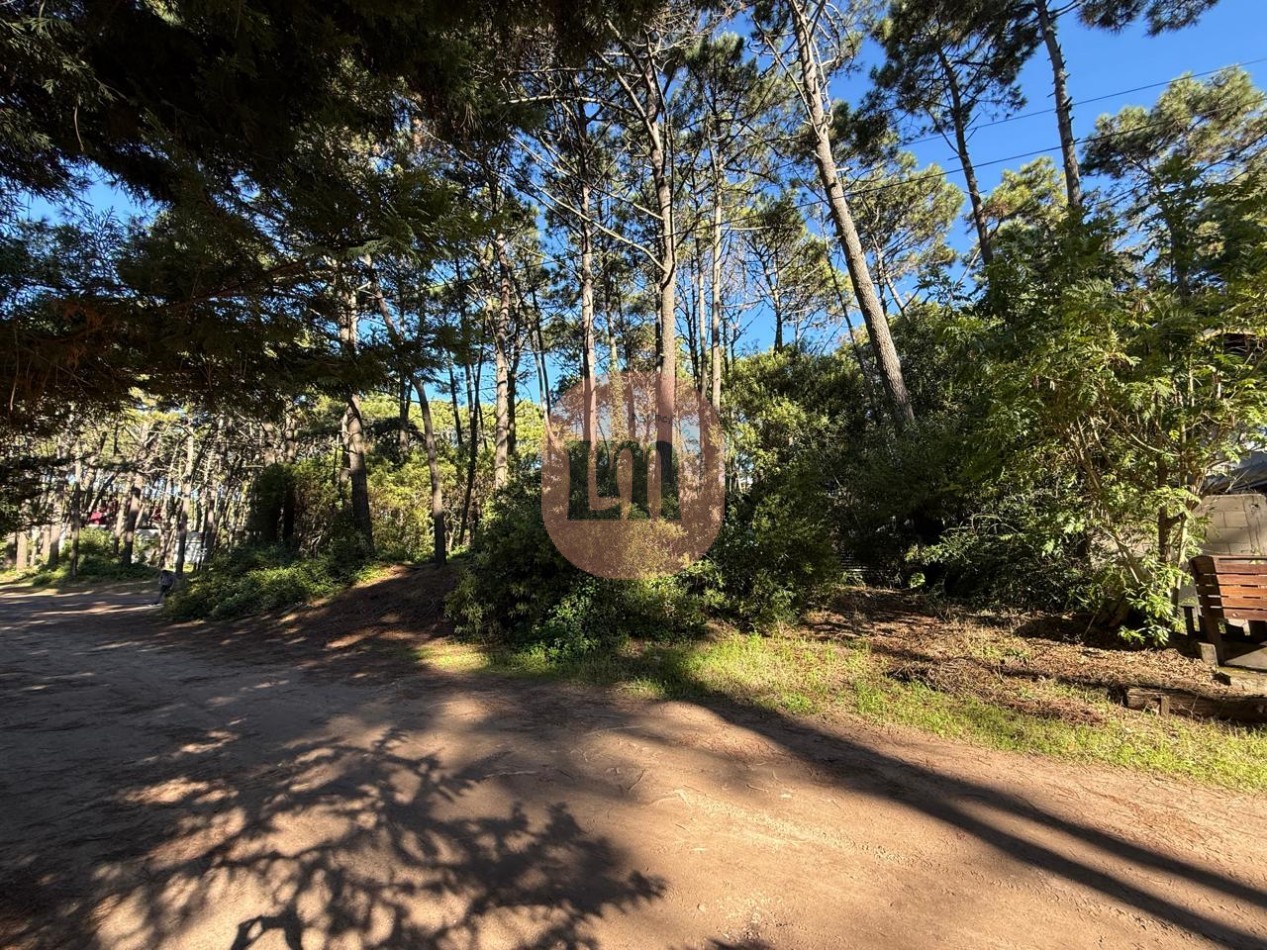Lote comercial Mar Azul