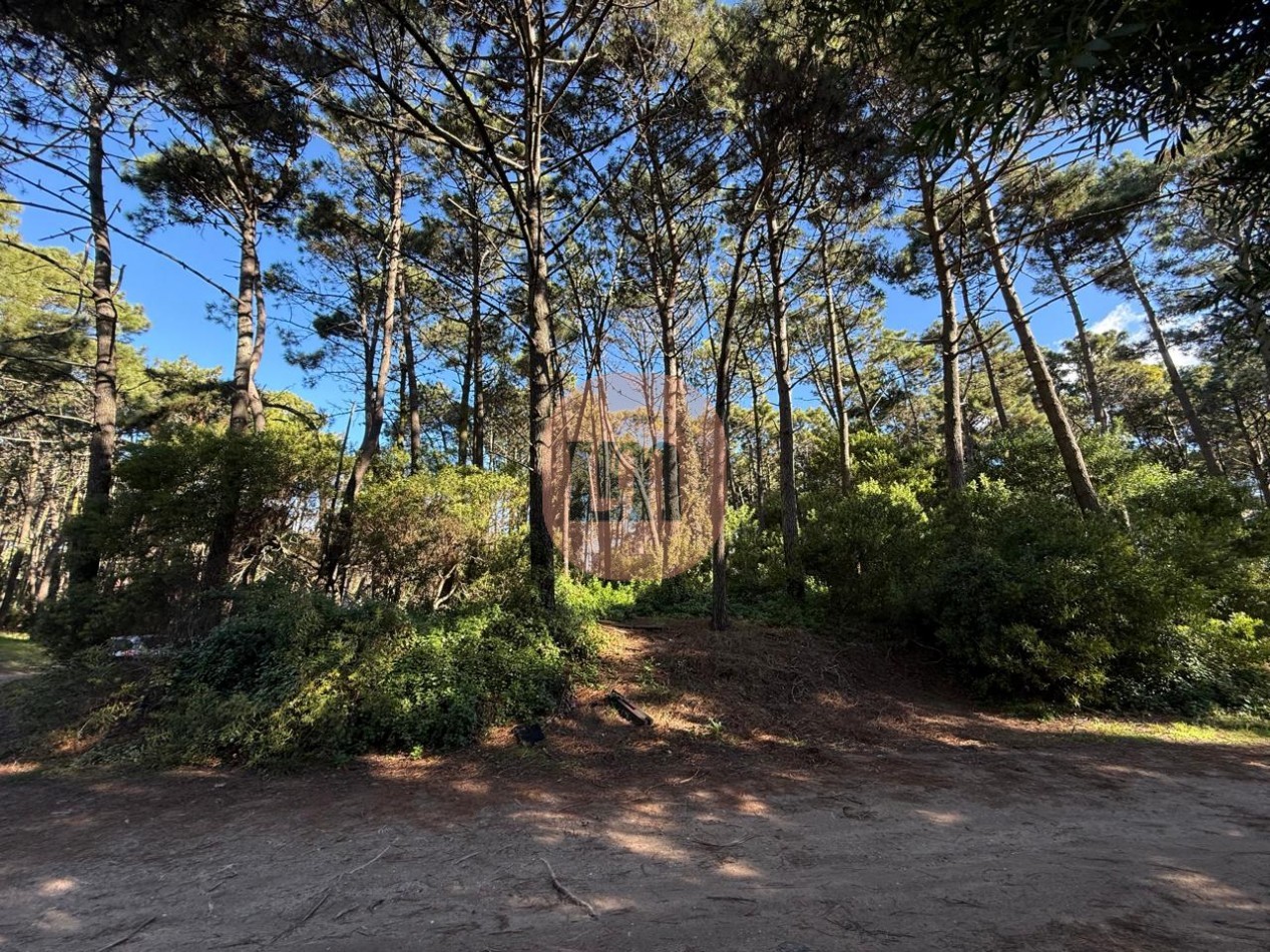 Lote comercial Mar Azul