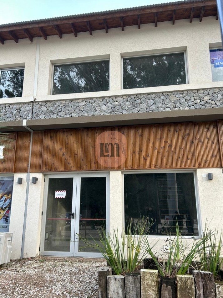 Local 23